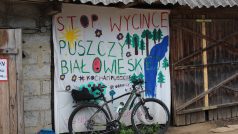 Základna aktivistů protestujících proti kácení v Bělověžském pralese