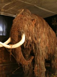 Lovci mamutů: Mamut