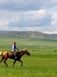 Mongolsko