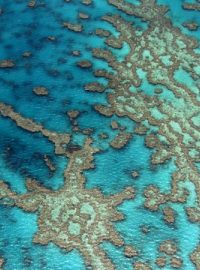 Home - Velký bariérový útes, Queensland, Austrálie (16°55&#039; S - 146°03&#039; E)