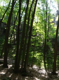 Turistické léto - šestá výprava na Kokořínsko