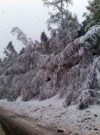 Čerstvý sníh v Jablonci nad Nisou (silnice na Prahu)