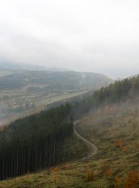 Dřevorubci okolí Lesní rozhledny už před lety vysekali