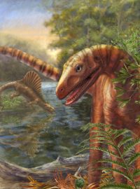 Asilisaurus kongwe (v pozadí Hypselorhachis)