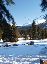 Whistlerské údolí - krajina medvědů