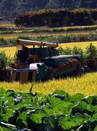 Zemědělská vesnice (oblast Danyang)