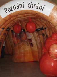 Obří maketou tlustého střeva mohou návštěvníci projít jako tunelem
