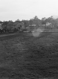 Krtince, plevel, rez... Stadion v Bohdanči chátrá.jpg