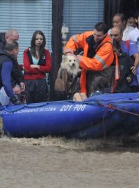 Záchranáři na Liberecku pomáhají i zvířatům