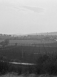 blšanský stadión