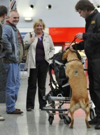 Na ruzyňském letišti hlídkují i policisté se psy