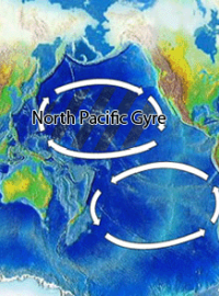 Severopacifický subtropický vír