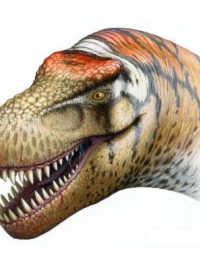 Zhuchengtyrannus magnus