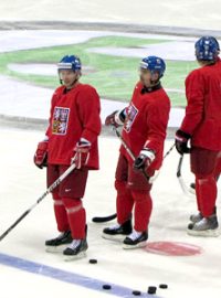 Čeští hokejisté na MS v hokeji 2011