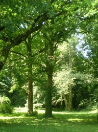 Arboretum u maďarského lázeňského města Szeleste v mnohém připomíná rajskou zahradu
