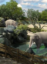 Návštěvníci budou moci navštívit budoucí areál pro slony