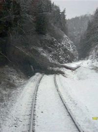 Popadané stromy zastavily 16. prosince provoz na trati mezi Mariánskými Lázněmi a Planou