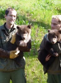 Mláďata medvědů kamčatských z brněnské zoo s chovateli Milošem Waltrem a Milanem Šebestou