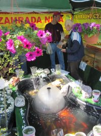 Prodejci v Havlíčkově Brodě nabízejí i květiny do jezírek.