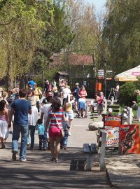 Návštěvníci ZOO Dvůr Králové