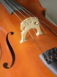 Violoncello