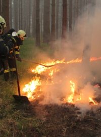 Hasiči bojují s lesním požárem u Bzence na Hodonínsku