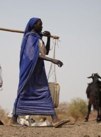Súdánská žena na cestě pro vodu