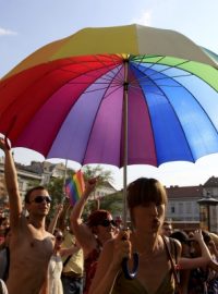 People take part in the annual gay / queer pride  parade in Budapest July 7, 2012