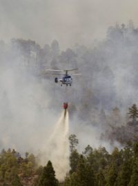 Požáry na jihu Tenerife hasili už v červenci (archivní foto)