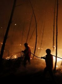 Portugalští hasiči bojují s požáry ve středu a na severu země.