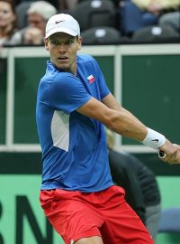 Tomáš Berdych ve finále Davis Cupu, jeho soupeřem byl Nicolás Almagro