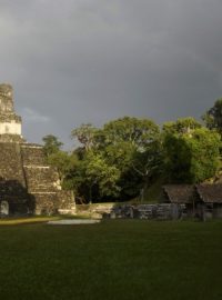 Ruiny mayské svatyně ve starobylém městě Tikal