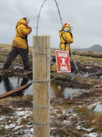 Minová pole na Falklandách