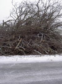 Stromy mezi Ždírcem nad Doubravou a Krucemburkem musely ustoupit plánované opravě silnice.