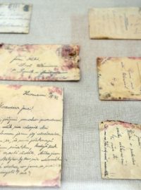 Unikátní předválečné fotografie, dopisy či části vojenského stejnokroje nalezené při rekonstrukci rodného domu Jana Kubiše v Dolních Vilémovicích byly představeny na tiskové konferenci v Praze