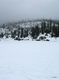 Na Šumavě místy napadl sníh. Na Velkém Javoru naměřili meteorologové až 30 centimetrů sněhu. Snímek je z Březníku