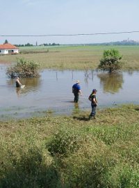 Výlov ryb z povodňových lagun na Mělnicku. Zatopená komunikace ve Vrbně