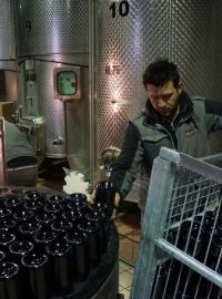 Výroba šumivého vína Trento DOC