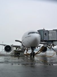 Největší letadla, která na ruzyňském letišti přistávají, patří společnostem České aerolinie, Korean Air a Emirates