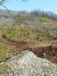 Sesutý svah na dálnici D8 nad Litochovicemi na Litoměřicku. Dřevorubci pokáceli stromy, aby mohli geologové začít s průzkumem. Od něj by se pak mělo odvíjet zajištění svahu proti dalšímu sesuvu