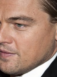 Leonardo DiCaprio