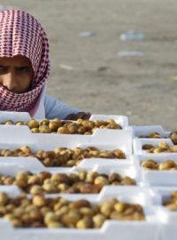 Postní měsíc ramadán, pouliční prodavač, muslim prodává datle
