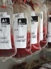 Dárcovství krve (ilustrační foto)