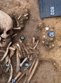 V hrobu byly nalezeny kostěné korálky tvořící několik řad na šňůře