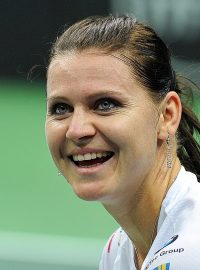 Fed Cup 2014, tenis, Lucie Šafářová