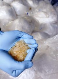Německá a česká policie rozbily mezinárodní gang výrobců pervitinu, zadržely 2,9 tuny chlorefedrinu
