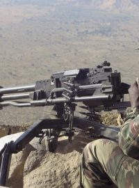 Akce proti radikálům z Boko Haram se účastní i kamerunští vojáci