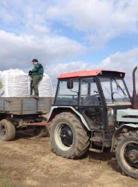 Zemědělci na Vysočině začali sázet brambory - mezi prvními Agro Měřín na Žďársku