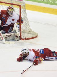 Na extraligovém ledě se hokejisté Slavie minimálně jednu sezonu nesklouznou