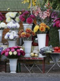 Ruský pouliční prodavač květin a zeleniny (ilustrační foto)